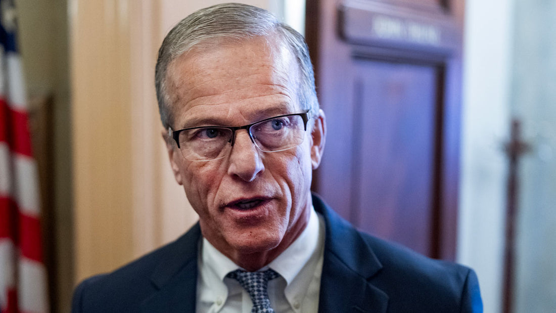 Senate Budget Battle: Immigration Funding and Partisan Divides