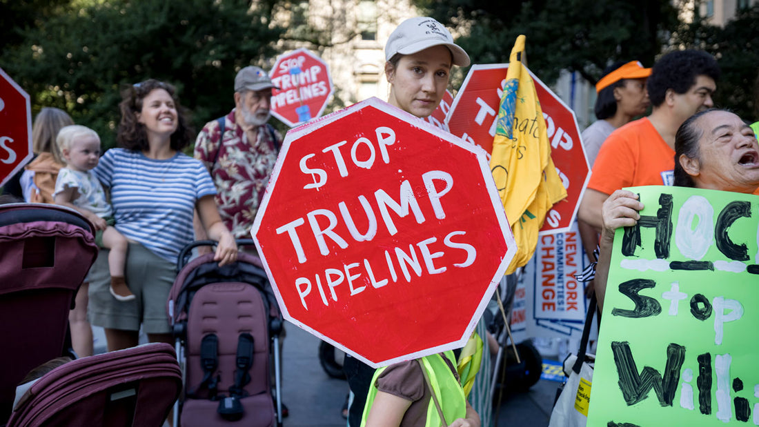 The Legal Battlefield of Climate Change: Challenges and Implications