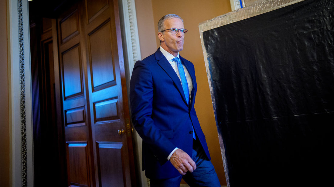Republican Congress: A Betrayal of Conservative Promises
