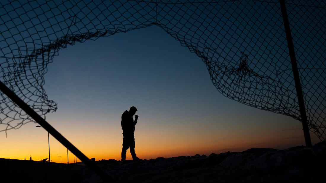 The Illusion of Immigration Reform: Lessons from the Past
