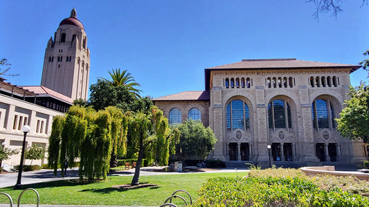 The Higher Education Crisis: Time for a Reckoning