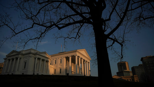 Dominion and NextEra Merger: A Call for Rigorous Review in Virginia