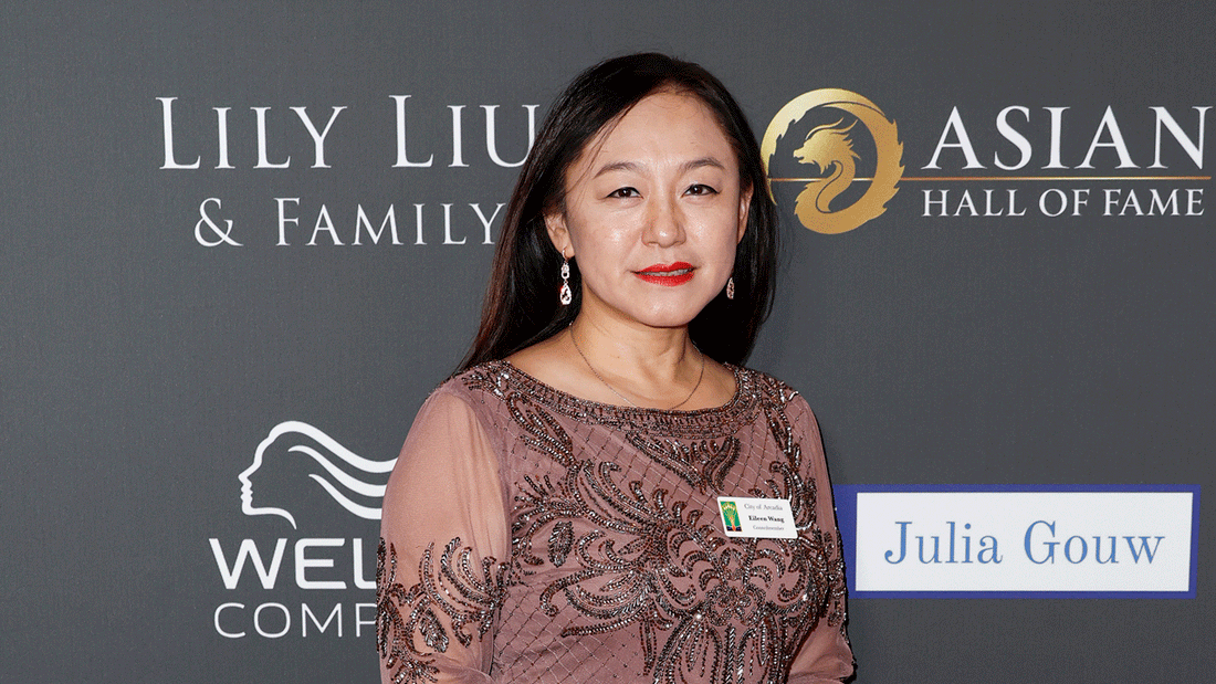 Eileen Wang's Guilty Plea: A Stark Warning for Democracy