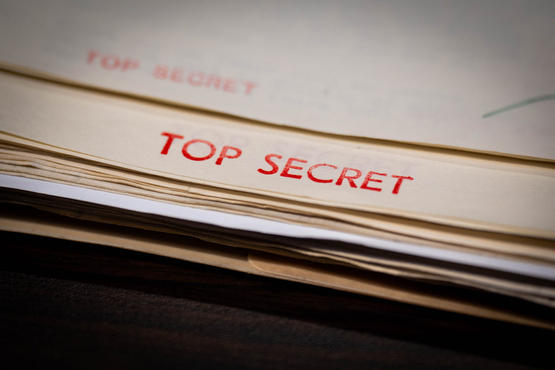 The Fine Line Between Whistleblowers and Leakers: A National Security Concern