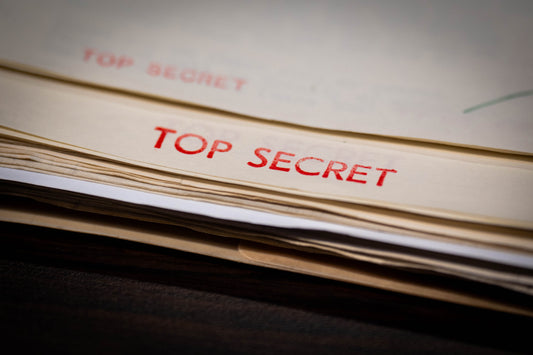 The Fine Line Between Whistleblowers and Leakers: A National Security Concern