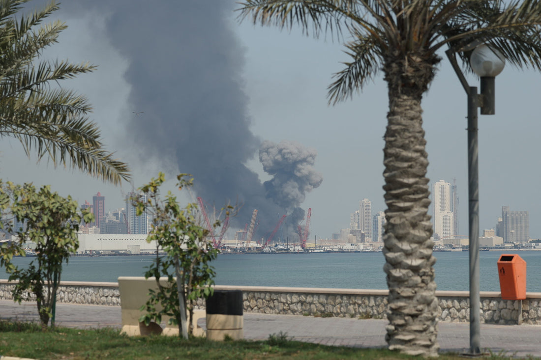 The Gulf States' Miscalculation: A Cautionary Tale