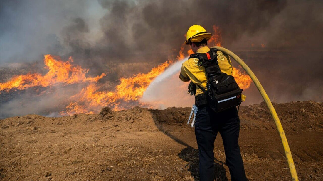 California's Wildfire Crisis: The Urgent Need for Change