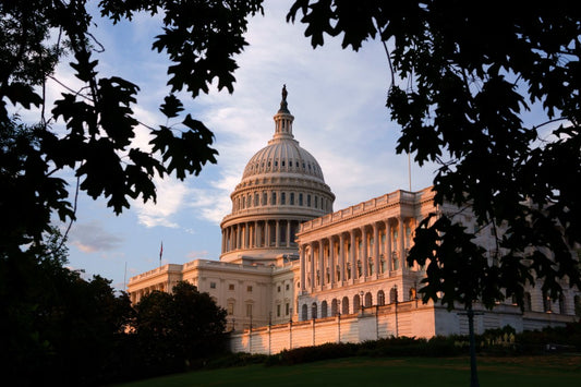 Washington’s Weekly Whirlwind: A Political Circus Unfolds