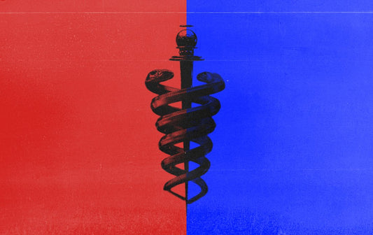Is America's Health Divide a Reflection of Political Ideology?