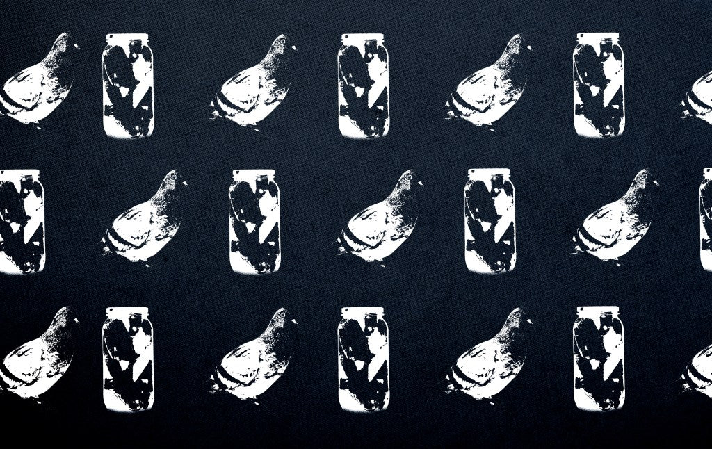 The Illusion of Certainty: Navigating Logical Fallacies in the Age of Information