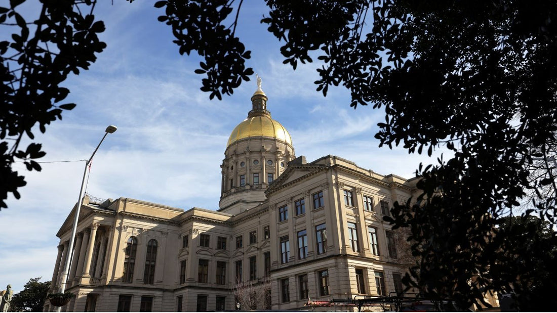 Georgia's Legislative Inaction on Redistricting: A Missed Opportunity for Fairness